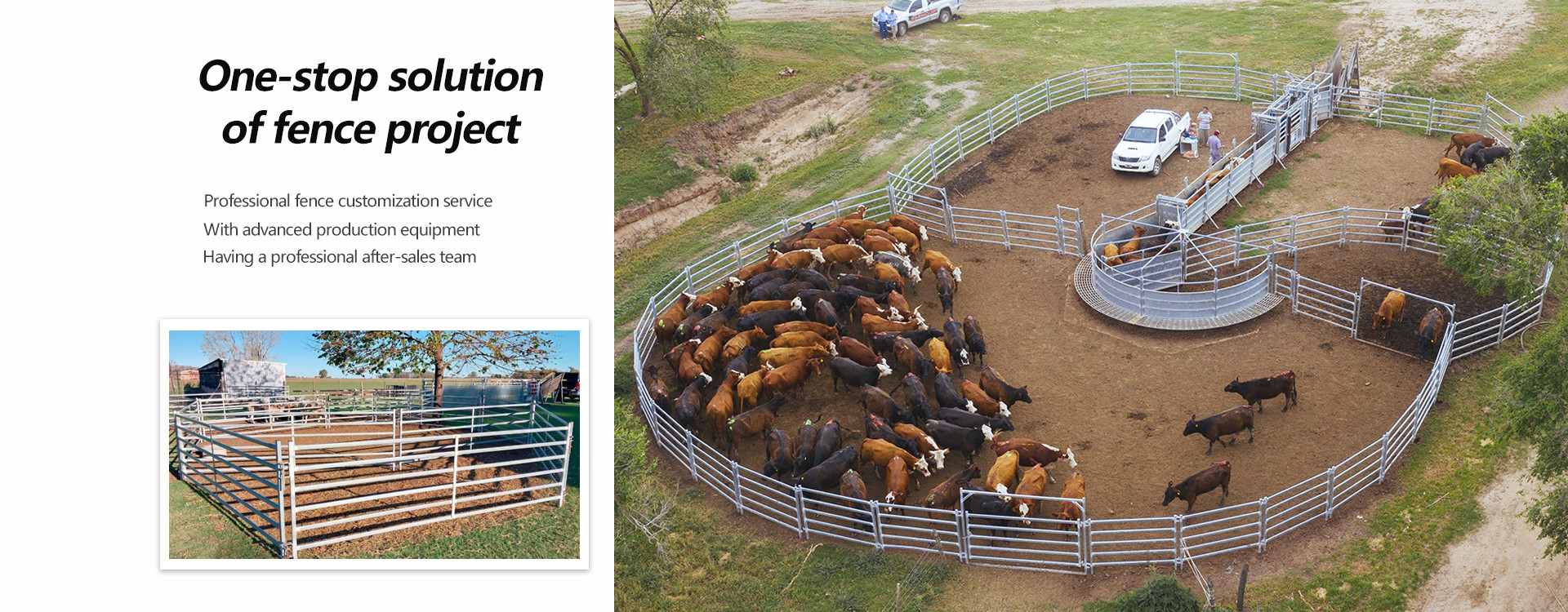 qualité Clôture à panneaux de bétail usine