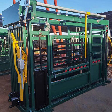 Heavy Duty Automatic Manual Cattle Crush With Weighing Scale