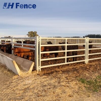 Farm-Proven Cattle Panel: Professional-Grade Steel with Protective Coating for Lifetime Durability & Safe Animal Containment