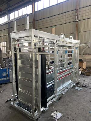  Galvanized Cattle Chute Crush With Extrusion And Weighting