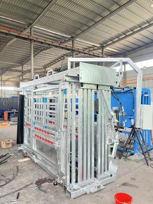 Sturdy And Durable Cattle Chute Crush With Extrusion And Weighting For Farm