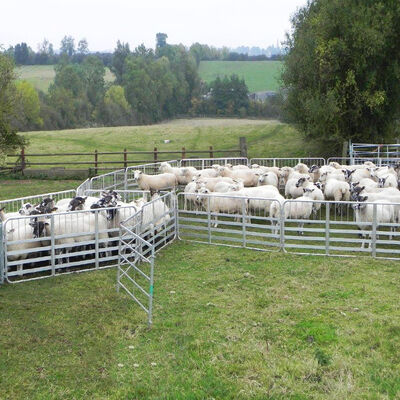 Heavy Duty Galvanized Steel Wire Mesh Sheep Livestock Fence Designed to Provide Long Lasting Protection for Farm Animals