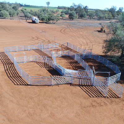 Rust Resistant Sheep Panel Fence Featuring Welded Wire Mesh and Sturdy Frame Perfect for Outdoor Livestock Management