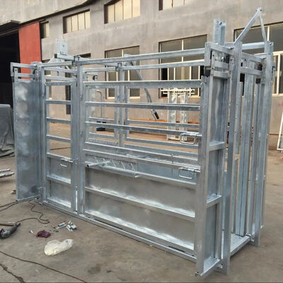 Cattle Crushes strong and livestock handling equipment created to support safe cattle processing and farm productivity