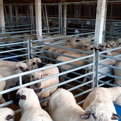 Heavy Duty Welded Wire Sheep Fence Panel Suitable for Pasture Protection and Animal Enclosure Applications