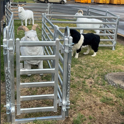 Corrosion Resistant Sheep Livestock Panel Built to Resist Rust and Maintain Structural Integrity in Outdoor Environments