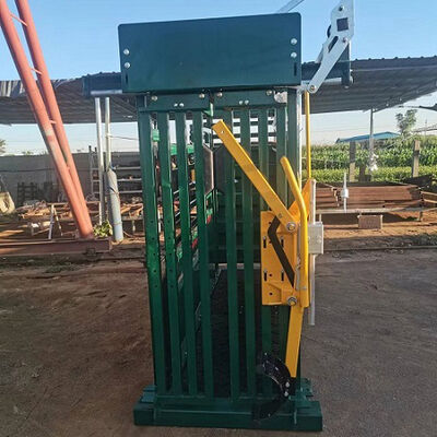 Heavy Duty Automatic Manual Cattle Crush With Weighing Scale