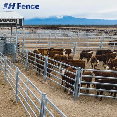 Unbreakable Cattle Panel System: Fully Welded for Ultimate Strength & Zero-Maintenance, All-Weather Livestock Security