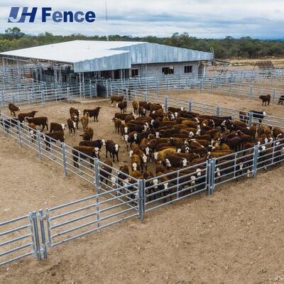 Quick-Deploy Cattle Panel: Ready-to-Use Design Enables Rapid Enclosure Setup Without Specialized Tools or Skills