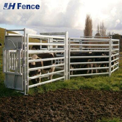 Secure-Hold Cattle Panel: Rigid One-Piece Construction Prevents Bending for Uncompromised Livestock Security