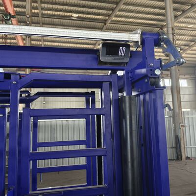 Portable Cattle Crush With Sliding Gate Head Bale Weighing Scale