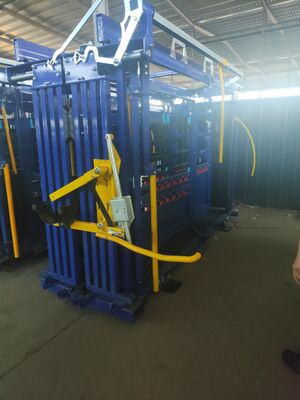 Heavy Duty Hot Galvanizzed Cattle Crush With Weighing System