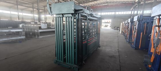 Heavy Duty Hot Galvanizzed Cattle Crush With Weighing System