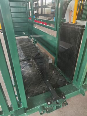 Blue Green Powder Coated Cattle Chute Crush With Extrusion The Body Of The Cow