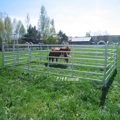 Galvanized 6ft 7ft Heavy Duty Used Metal Cattle Fence Panel For Livestock  Cattle Yard 