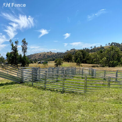 Hot Dipped Galvanized Grassland Cattle Fence Panel For Farm Animals Livestock 