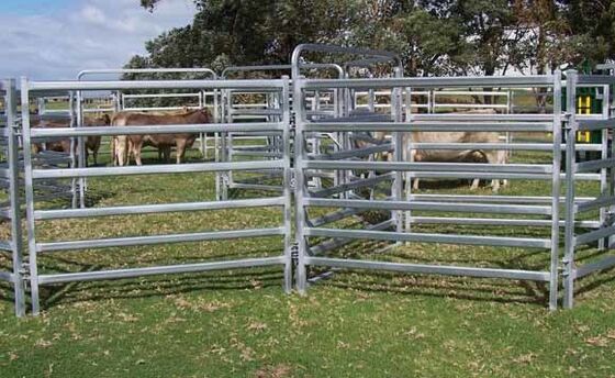 Investment-Grade Cattle Panel: Built As a Permanent Infrastructure to Save Time & Money on Annual Maintenance