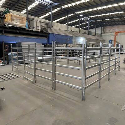 Welded Australia Galvanized Farm Livestock Animal Economical Cattle Rail Metal Panel Fence / Cattle & Sheep Yard Corral Panels
