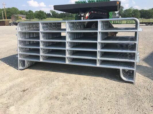 Heavy Gauge Steel Horse Panel Fence Providing Maximum Strength and Durability Ideal for Large Scale Livestock Management