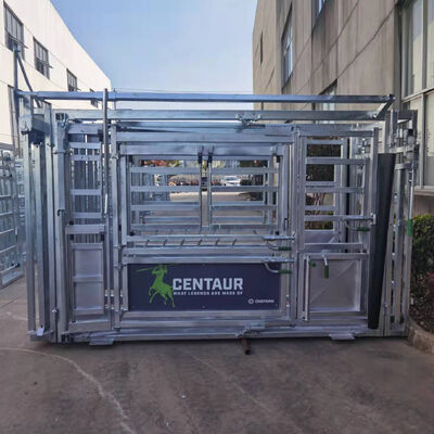 Heavy Duty Cattle Crushes Engineered Livestock Equipment Offering Safe Handling and Reduced Risk of Injury for Operators
