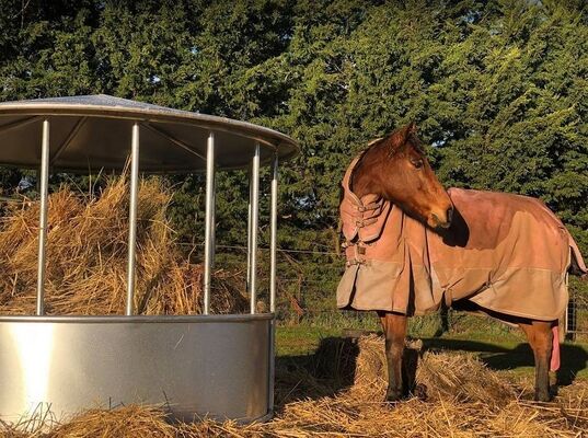 Robust Metal Hay Feeder Ideal for Feeding Horses Cattle and Other Farm Animals Offering Easy Access and Reduced Waste