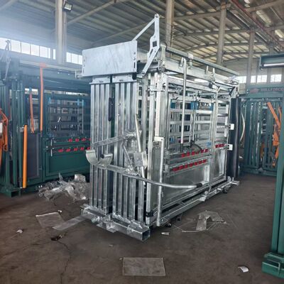  Galvanized Cattle Chute Crush With Extrusion And Weighting
