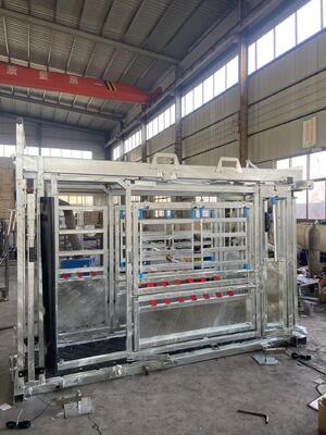  Galvanized Cattle Chute Crush With Extrusion And Weighting
