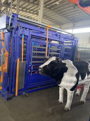 Heavy Duty Farm Steel Cattle Crush Cattle Squeeze Chute Stock Yard 