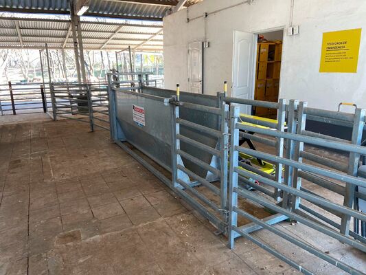 Portable Livestock Cattle Panel Fence Providing Flexible and Durable Solutions for Farm Enclosures