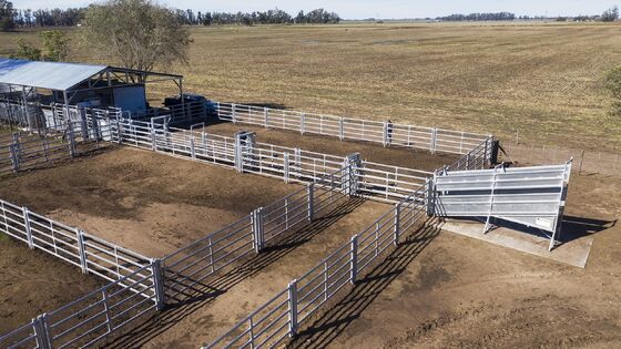 Hot Dipped Galvanized Livestock Sheep Fence Panel 12 Foot Australia Standard
