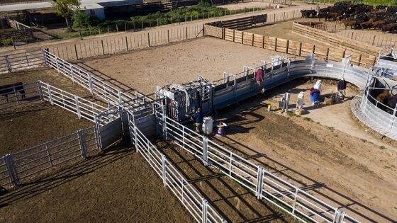 High Quality Galvanized Sheep Fence Panels Waterproof Heavy Duty Livestock Fencing