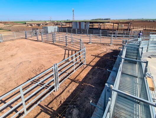 Heavy Duty Galvanized Steel Cattle Panel Fence Livestock Enclosure Fence for Farm Ranch Animal Containment and Protection