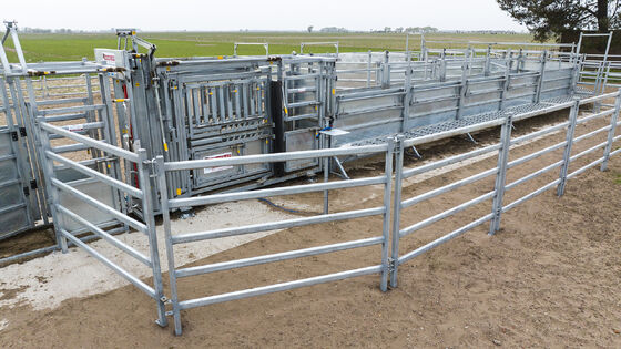 Heavy Duty Galvanized Steel Cattle Panel Fence Livestock Enclosure Fence for Farm Ranch Animal Containment and Protection