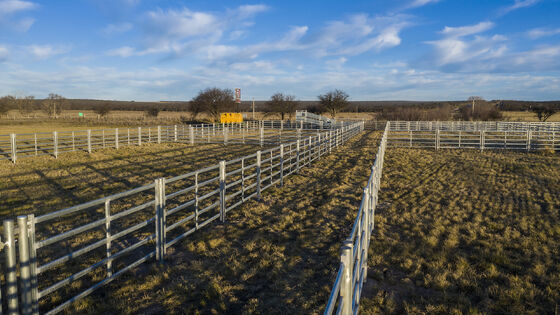 Strong Welded Wire Ranch Cattle Panel Durable Livestock Fence Panel Designed for Effective Ranch and Farm Animal Control