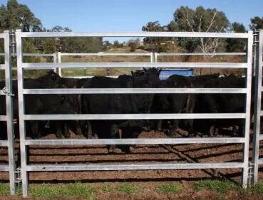 Corrosion Resistant Livestock Panel Fence Galvanized Steel Panels Providing Long Term Protection and Stability for Farms