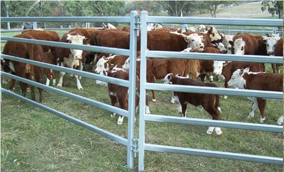 Durable Heavy Duty Welded Steel Cattle Panel Fence Strong Livestock Enclosure Panels Suitable for Farm and Ranch