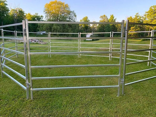 Corrosion Resistant Livestock Panel Fence Galvanized Steel Panels Providing Long Term Protection and Stability for Farms