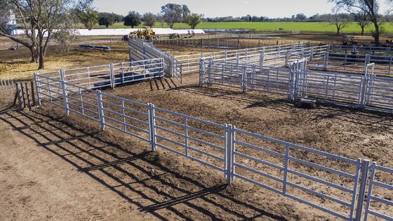 Corrosion Resistant Livestock Panel Fence Galvanized Steel Panels Perfect for Harsh Weather Conditions and Farm Safety