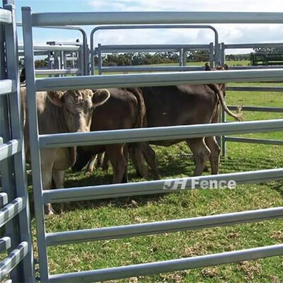 Galvanized Livestock Panel Fence Strong Rust Resistant Construction Perfect for Livestock Containment and Agricultural