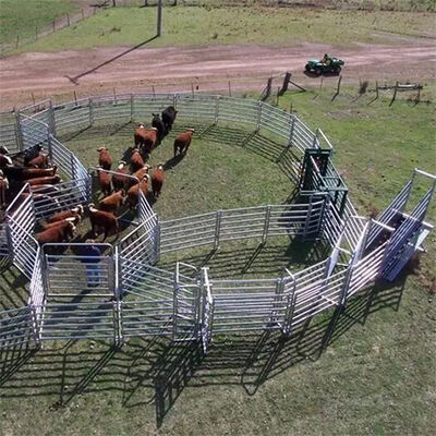 Galvanized Livestock Panel Fence Strong Rust Resistant Construction Perfect for Livestock Containment and Agricultural