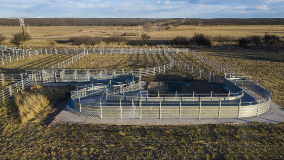 Portable Livestock Panel Fence Easy to Install Modular Panels Suitable for Temporary or Permanent Animal Enclosures