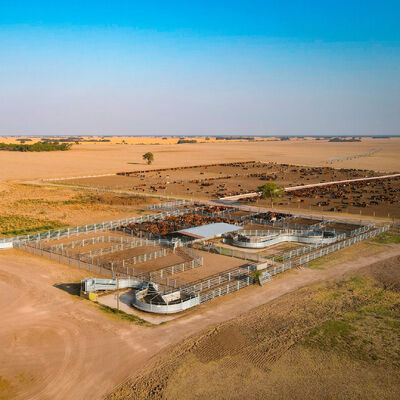 Portable Lightweight Livestock Panel Fence Designed to Easily Assemble and Relocate for Flexible Animal Containment
