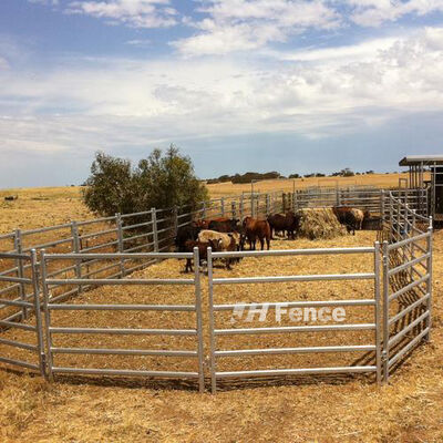 Rust Resistant Livestock Panel Fence Offering Long Lasting Protection and Stability for Agricultural Livestock Areas