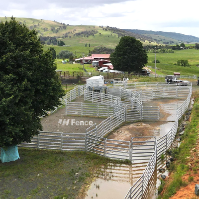 Rust Resistant Livestock Panel Fence Offering Long Lasting Protection and Stability for Agricultural Livestock Areas