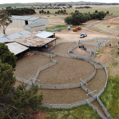Corrosion Resistant Sheep Enclosure Fence Built to Provide Long Term Security and Minimal Maintenance in Pasture Settings