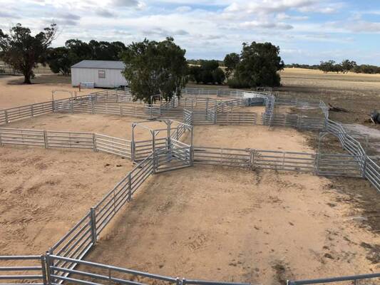Rust Resistant Sheep Panel Fence Featuring Welded Wire Mesh and Sturdy Frame Perfect for Outdoor Livestock Management