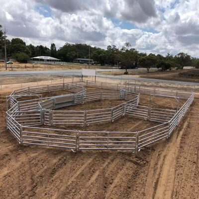 Rust Resistant Sheep Panel Fence Featuring Welded Wire Mesh and Sturdy Frame Perfect for Outdoor Livestock Management