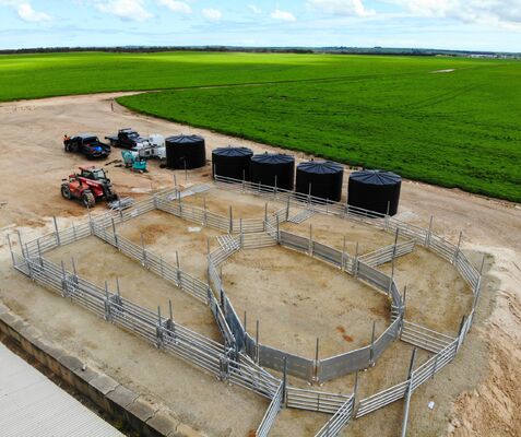 Galvanized Wire Mesh Sheep Pen Fence Providing Strong Protection and Long Lasting Durability for Agricultural