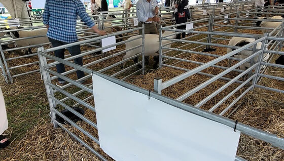 Galvanized Steel Wire Mesh Sheep Livestock Fence Durable Heavy Duty Construction for Animal Containment and Farm Security