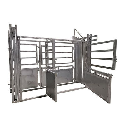 Adjustable Heavy Duty Cattle Crushes Suitable for Different Cattle Breeds and Sizes Enhancing Handling Efficiency